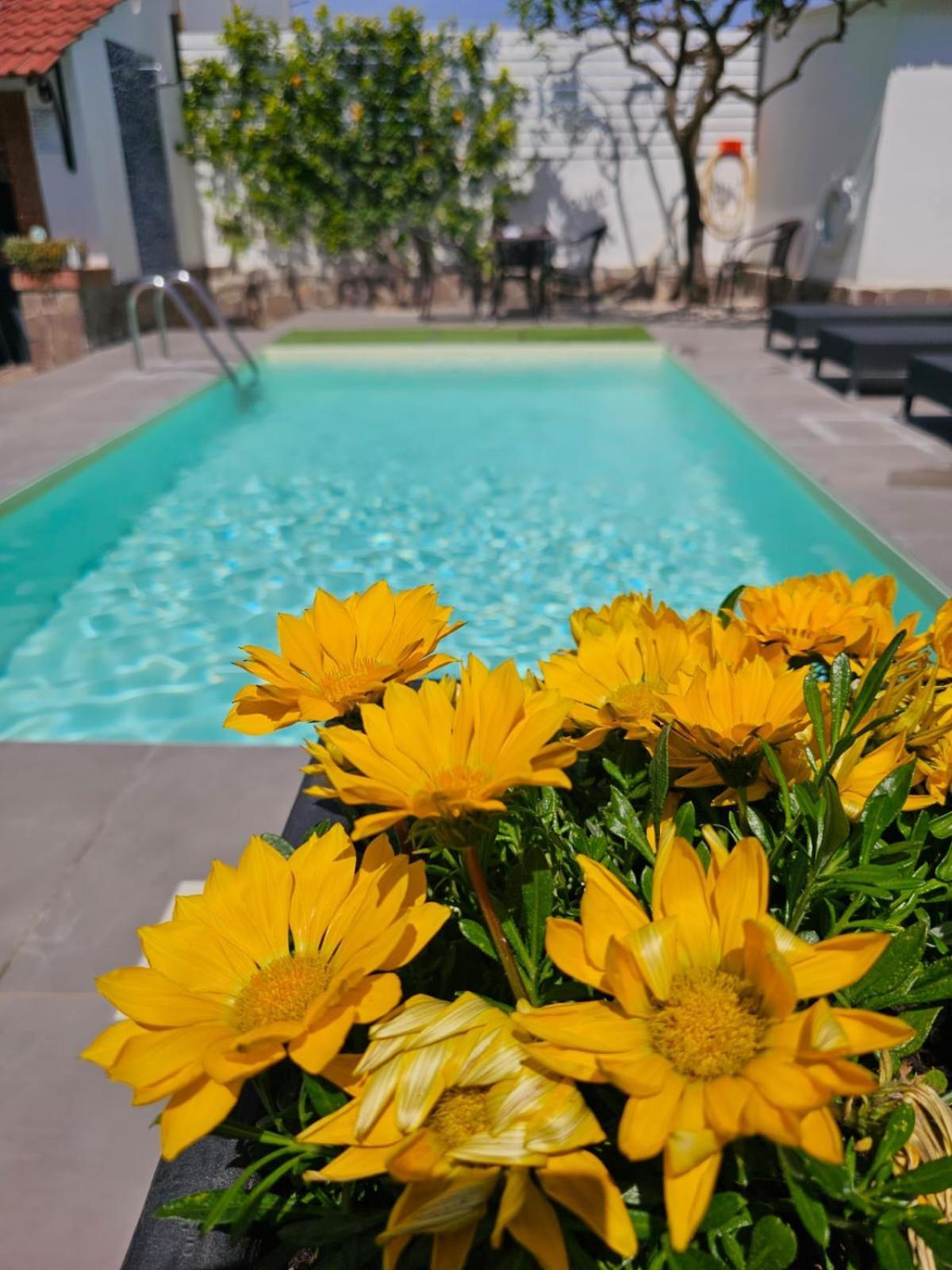 Dafne Home Pompei Exterior foto